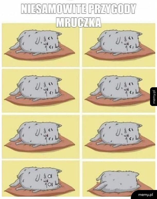 Burzliwie