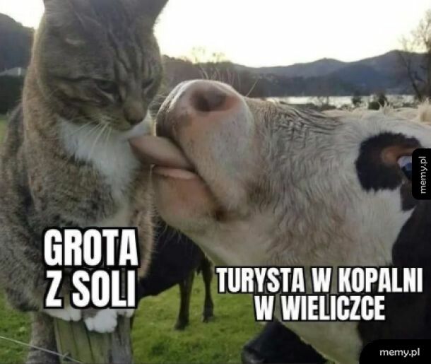 Sprawdzę tylko