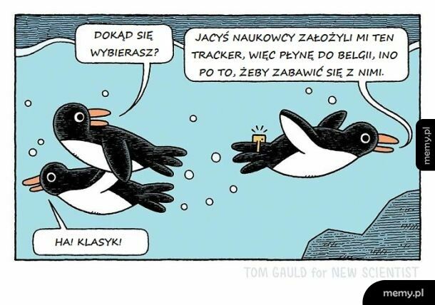 Żart dla badaczy