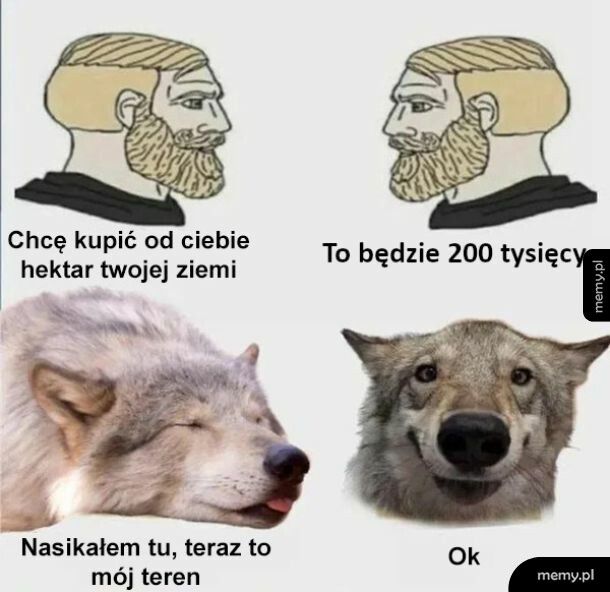 Nasikane to moje