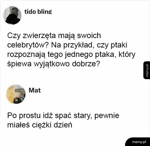 Dobre pytanie