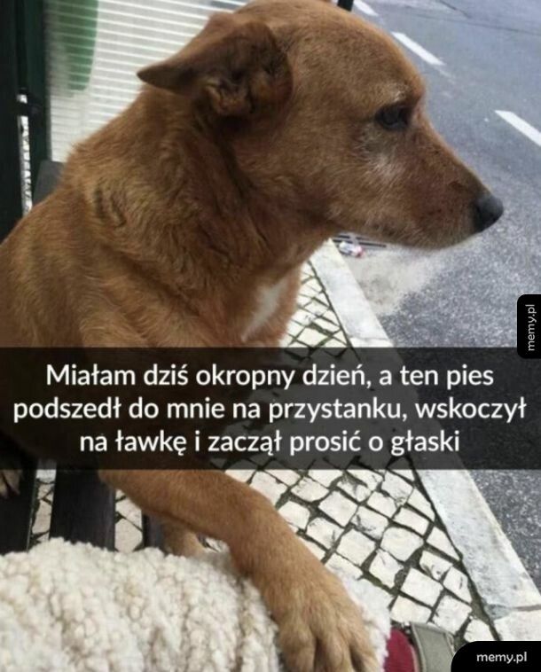 Miał penie gorszy dzień