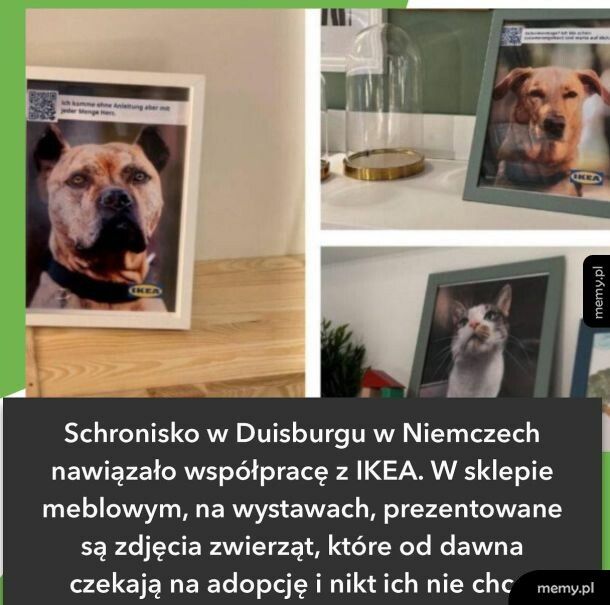 Dobra wiadomość na dobranoc
