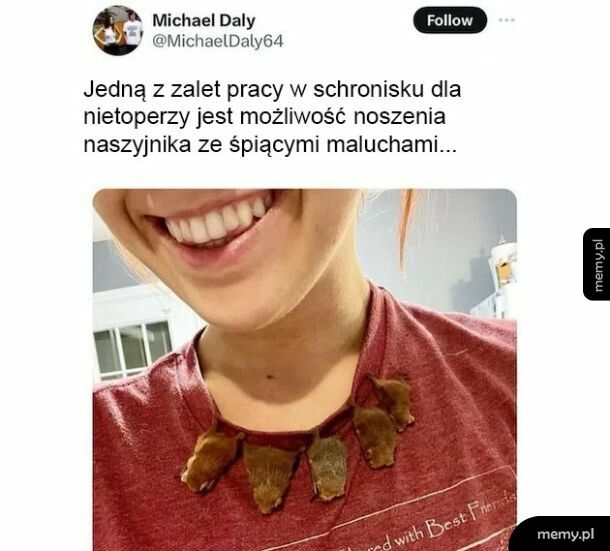 Nietoperki