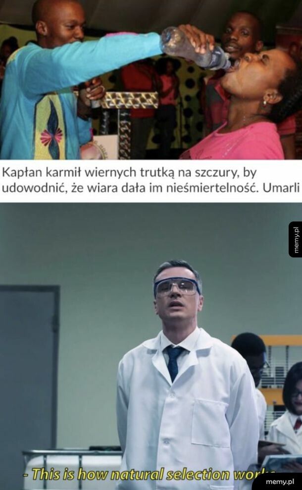Gratulacje