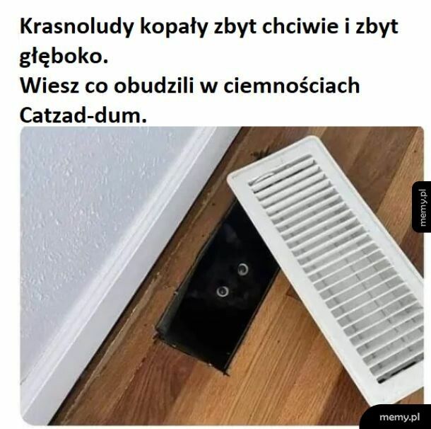 Krasnoludy