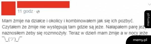 Jest jak jest