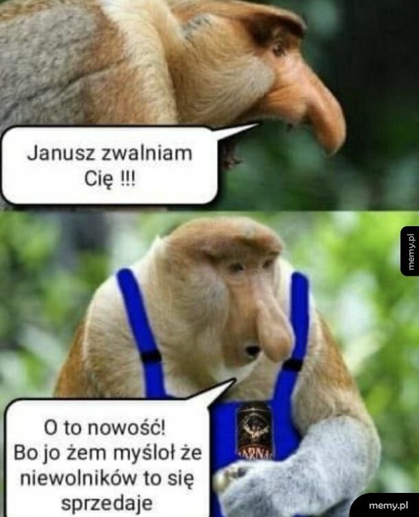 Januszex