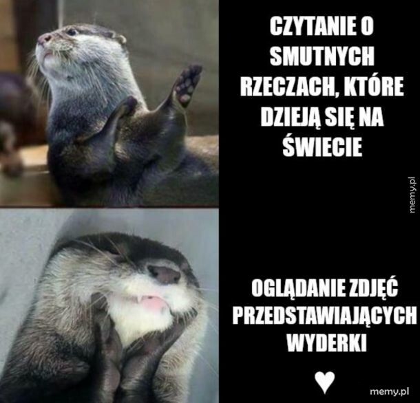 Tak lepiej
