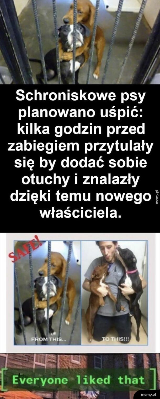 Szczęśliwe zakończenie