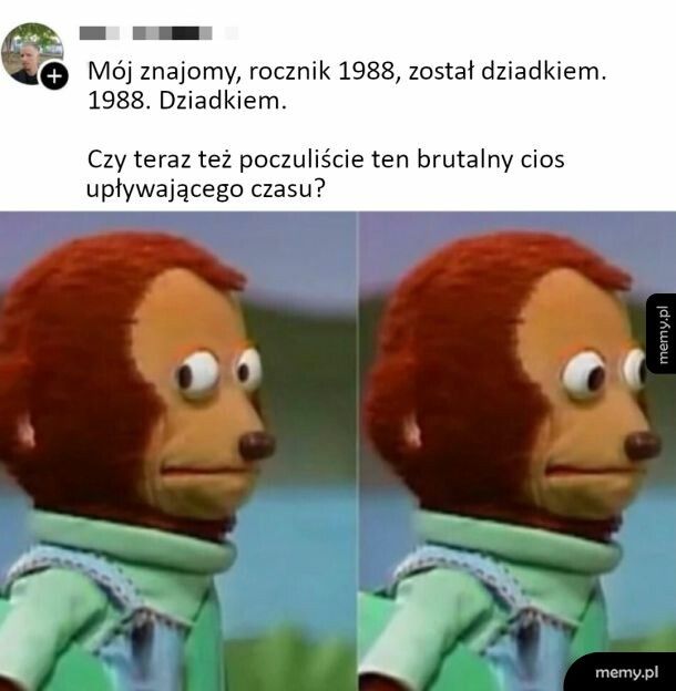 Brutalna rzeczywistość