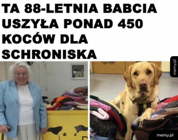 Pracowita babcia