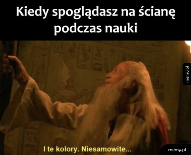 Nagle wszystko staje się interesujące