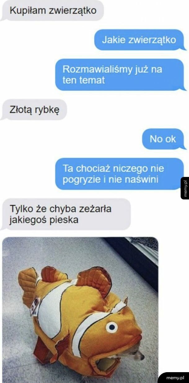 Złota rybka