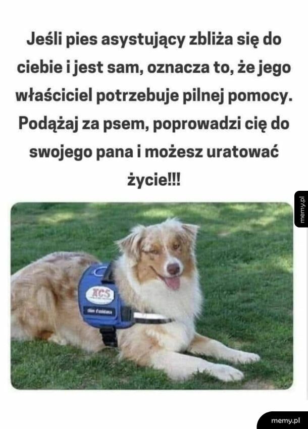 Ważne