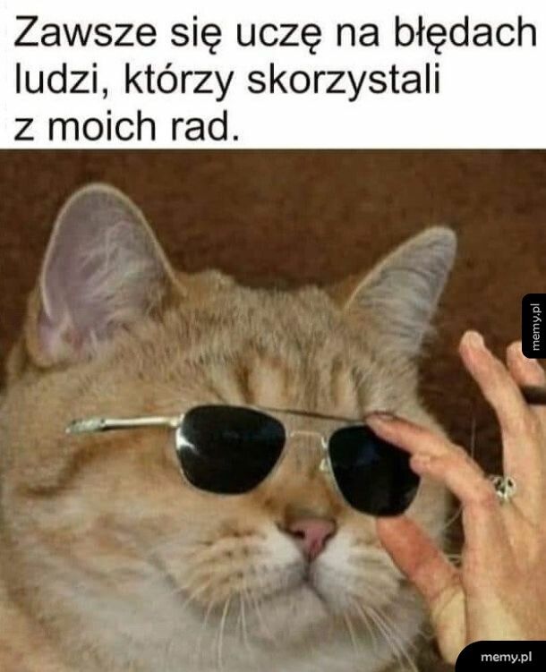 Nie na swoich