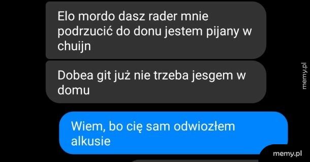 Elo mordo