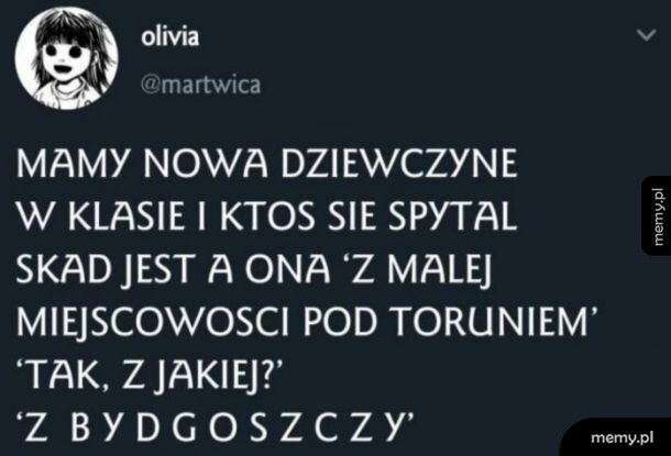 Wieś pod Toruniem