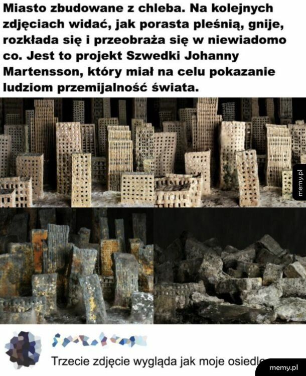Moje osiedle