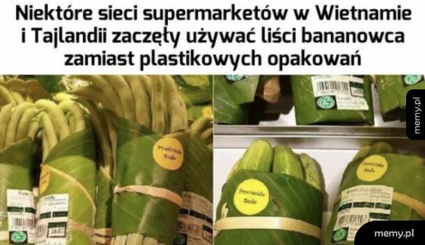 Liście bananowca