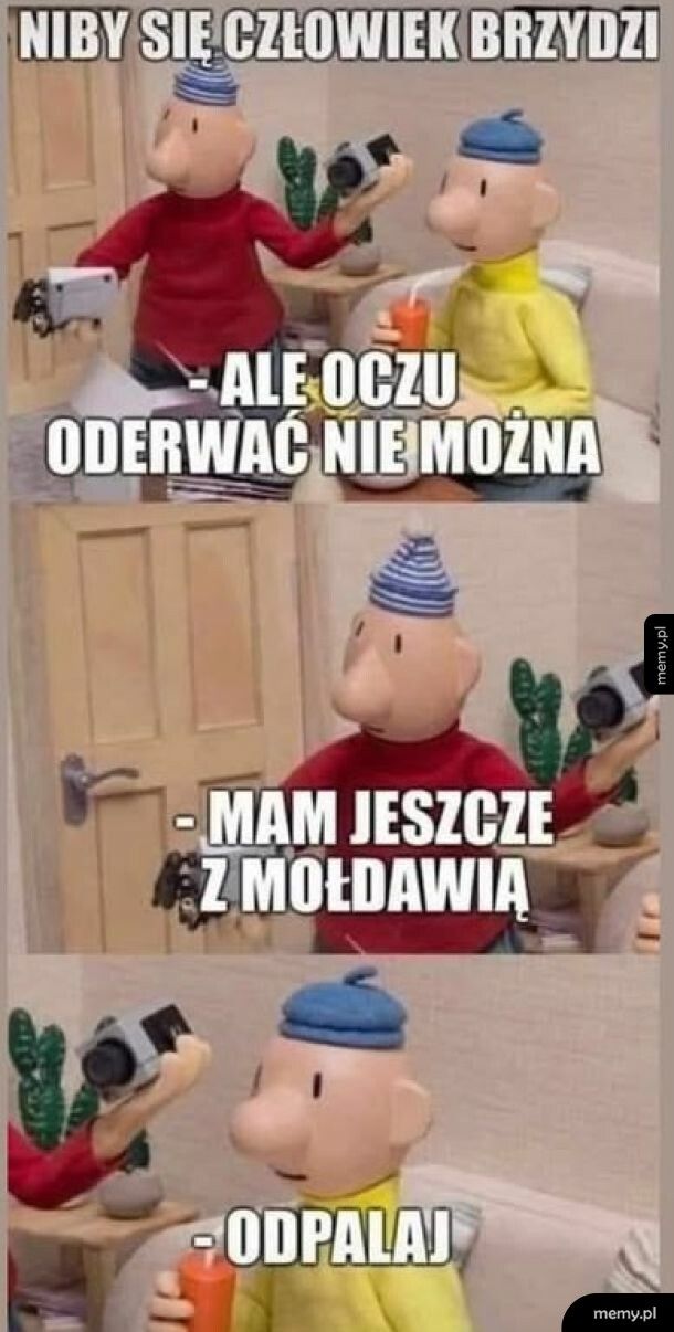 Coś w tym jest