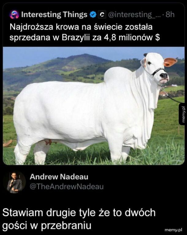 Też to widzę