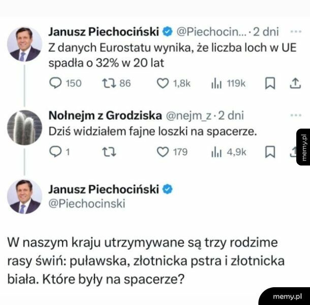 Lochy i loszki