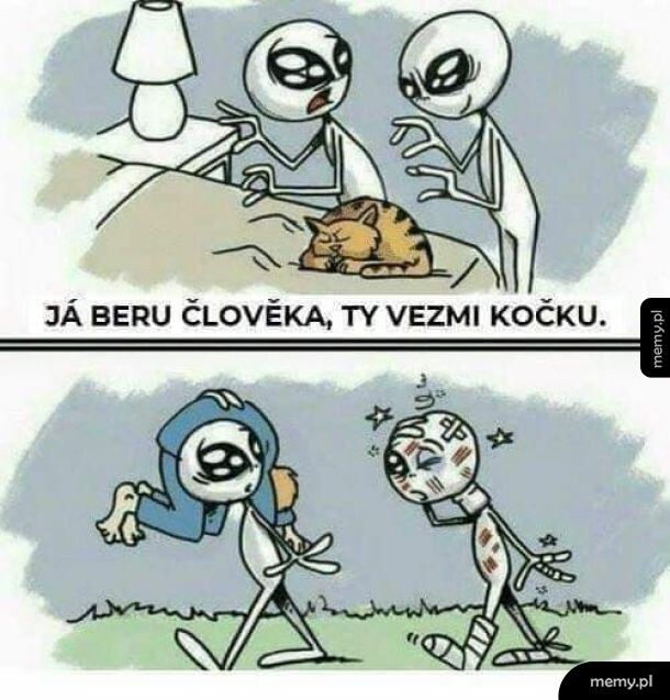 Dobry wybór