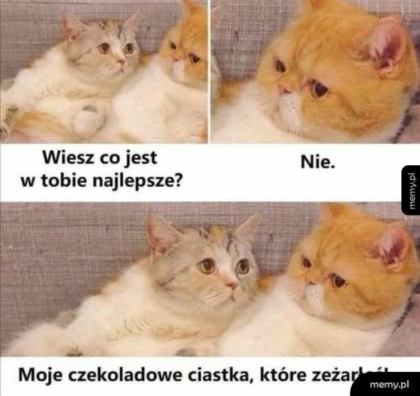 Czekoladowe ciastko