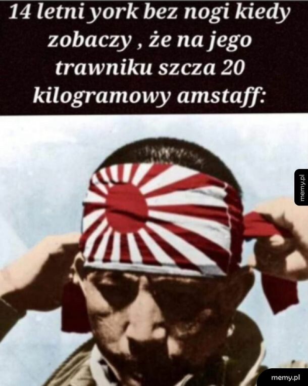 Kwestia honoru