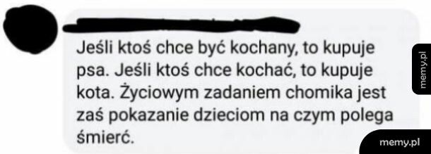 Każdy ma swoją role