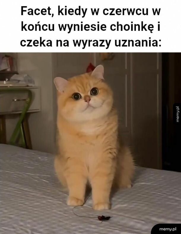 Jak mówi że zrobi to mówi