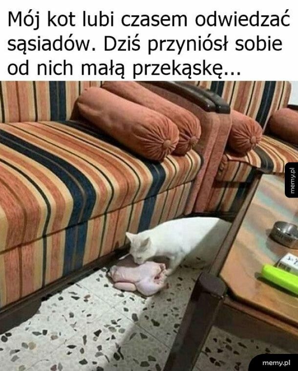 Przekąska