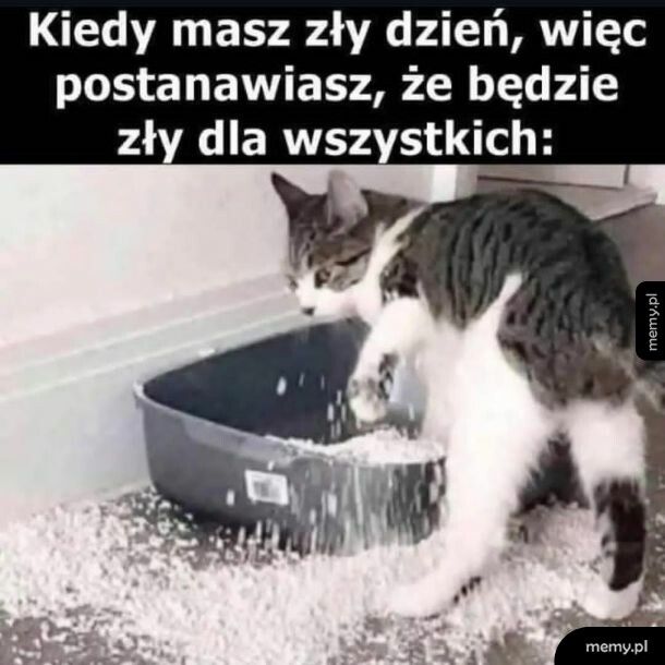Jak wszyscy to wszyscy