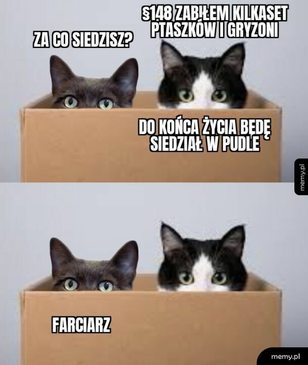 Recydywista