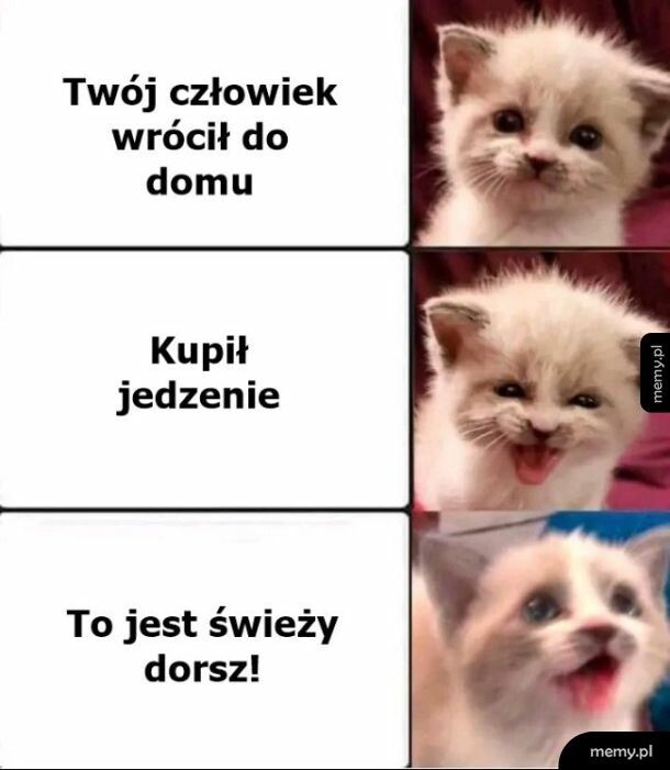 Zakupy