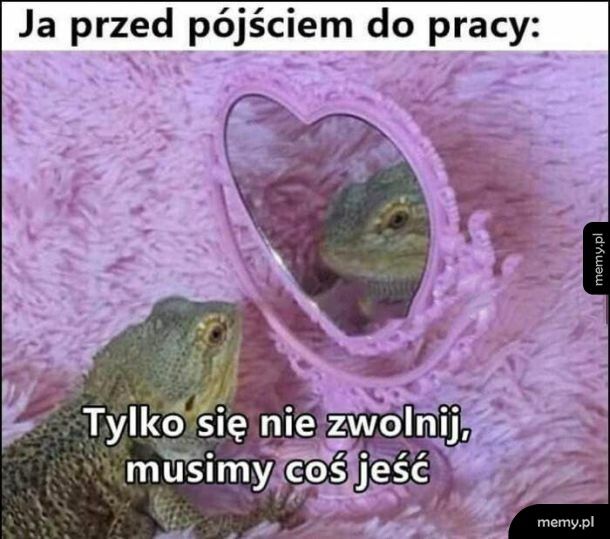 Dam radę