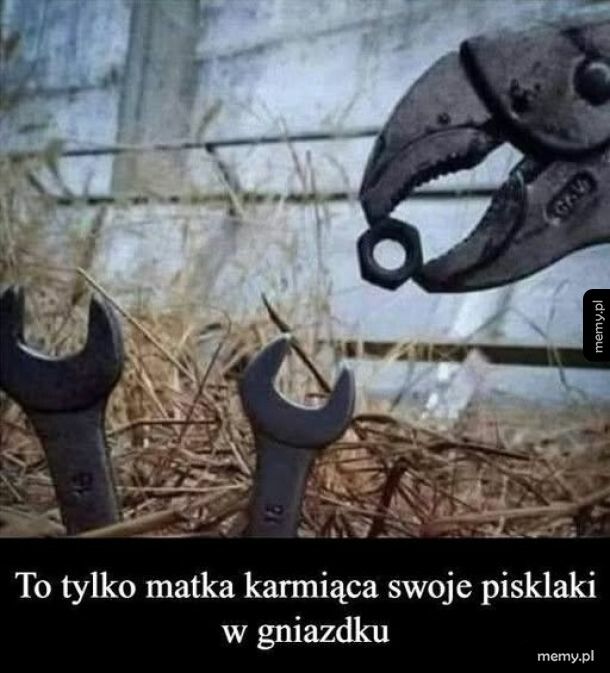 Sama natura