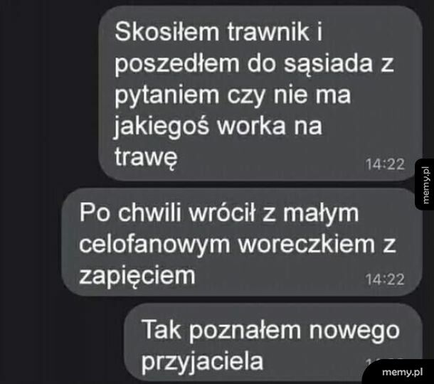 Nowy przyjaciel