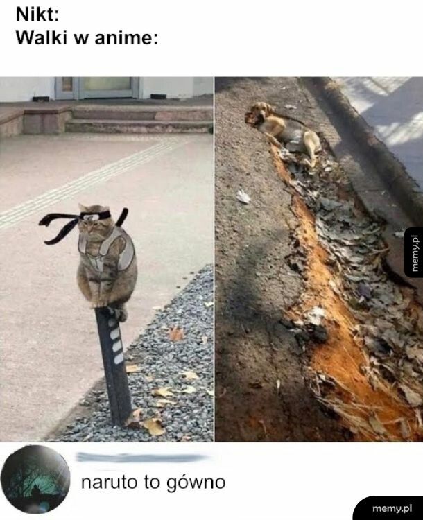 Bleach też tak ma