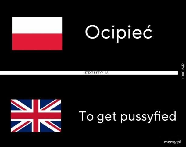 Ocipieć