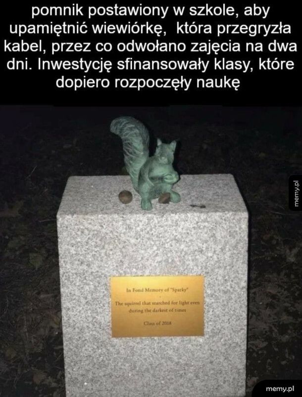 Cute pomnik wiewiórki