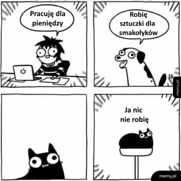 Dialog