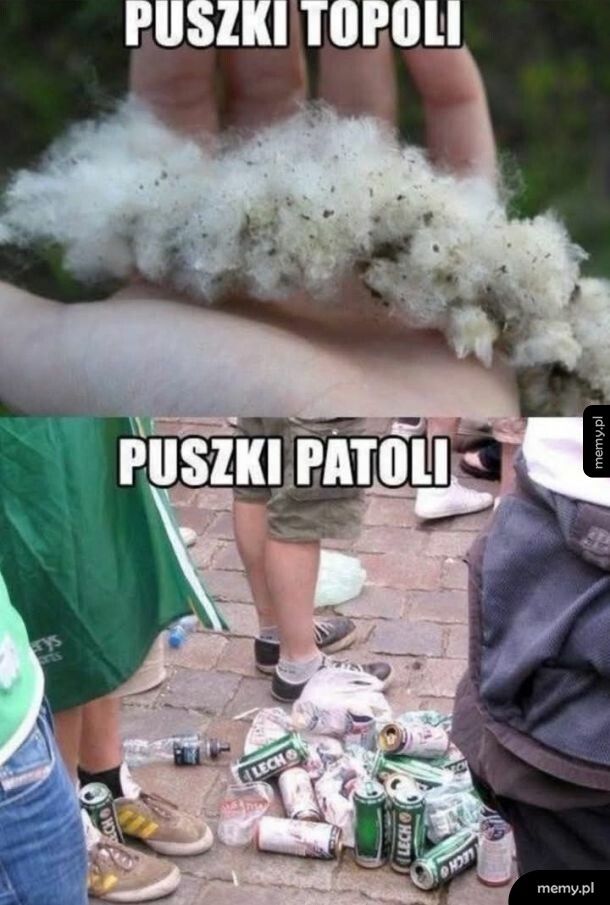 Puszki
