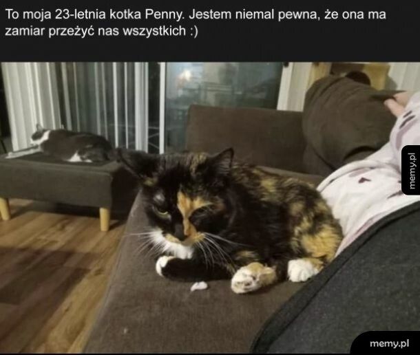 Penny
