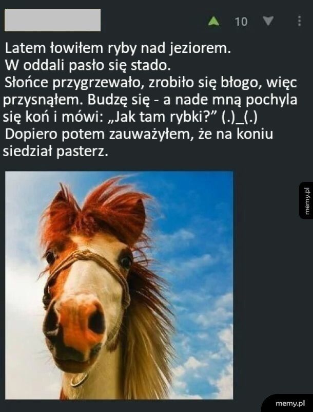Gadający koń