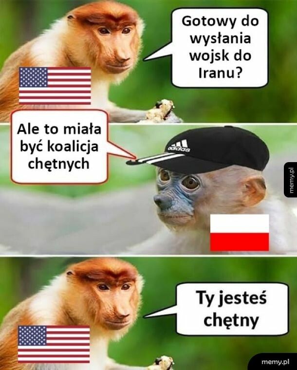 Lecimy