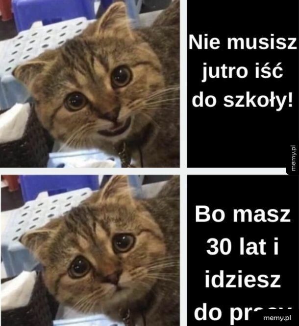 Pracująca sobota :(