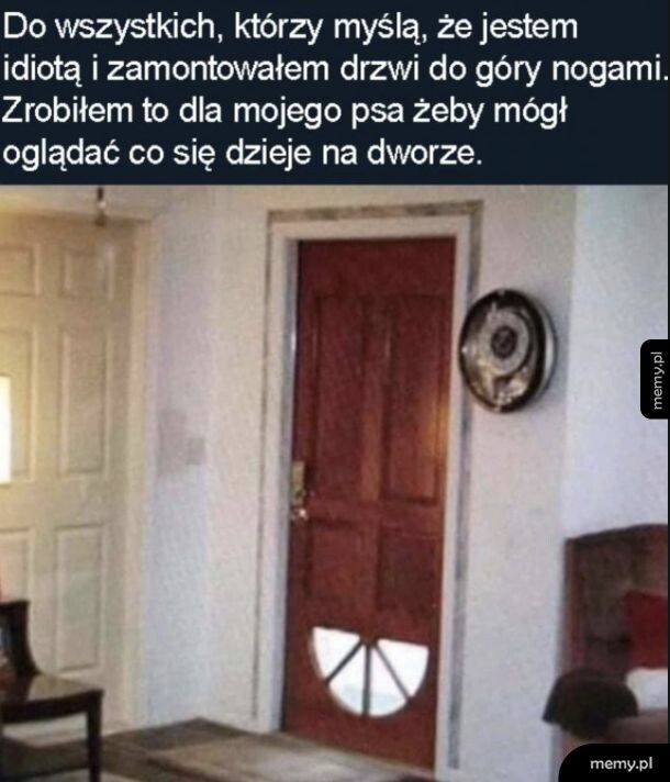 Wszystko dla pieseła
