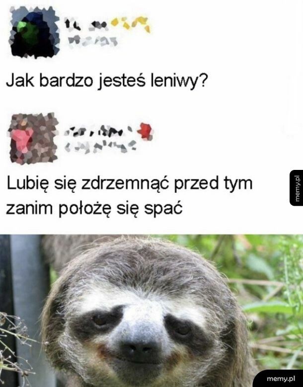 Lenistwo